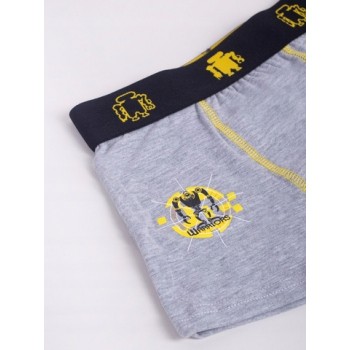 Zēnu bokseršorti 2 gab. 98-104 BMB-0017 [A]