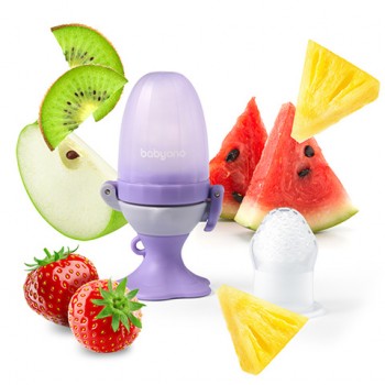 Zobgrauznis-tīkliņš pārtikai (feeder) FLOWER BabyOno 1542 Zobgrauznis-tīkliņš pārtikai (feeder) FLOWER BabyOno 1542