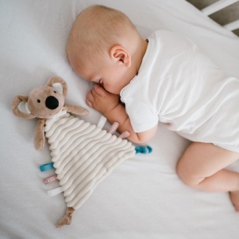 Čaukstošā mīļlupatiņa KOALA CHARLIE BabyOno 1559 Čaukstošā mīļlupatiņa KOALA CHARLIE BabyOno 1559