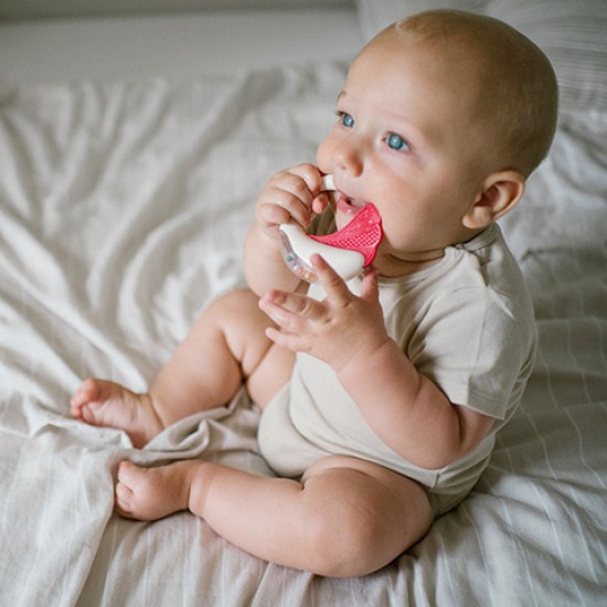 Grabulis ar graužamo BabyOno 1593 Grabulis ar graužamo BabyOno 1593