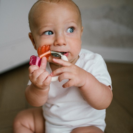 Grabulis ar graužamo BabyOno 1594 Grabulis ar graužamo BabyOno 1594