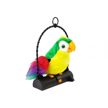 Runājošs papagailis: atkārto vārdus un plīvo spārnus 98495