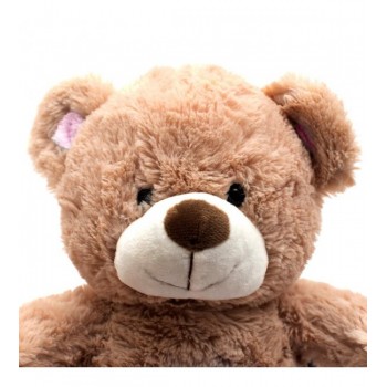 Projektors ar mūziku BEAR HADI pink BabyMix 37214 Projektors ar mūziku BEAR HADI pink BabyMix 37214