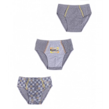 Zēnu apakšbikses 1 gab. BMC-0035 122-128 cm [A]